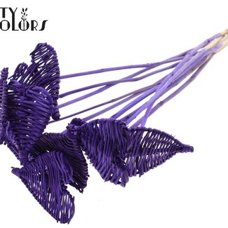 QC Rotan Lata Hart op stok | Kleur: Paars | Platte Bijsteker | Diameter 8 centimeter | Lengte ± 50 centimeter | 10 bijstekers per bos