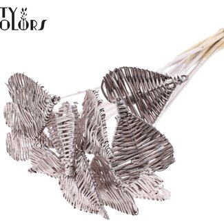 QC Rotin Lata Coeur sur tige | Couleur: Champagne | Plat Tuteur d'appoint | Diamètre 8 centimeter | Longueur ± 50 centimeter | 10 tuteurs d'appoint par botte