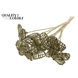 QC Rattan Lata Herz am Stiel | Farbe: Olivgrün | Flacher Steckstab | Länge ± 50 centimeter | 10 Steckstäbe pro Bund | Pro Bund