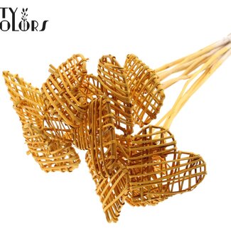 QC Rotan Lata Hart op stok | Kleur: Abrikooskleurig | Platte Bijsteker | Lengte ± 50 centimeter | 10 bijstekers per bos | Per bos