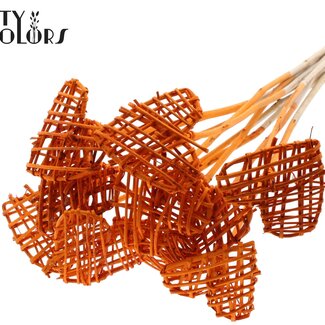QC Rattan Lata Herz auf Stab | Farbe: Orange | Flacher Beistecker | Länge ± 50 centimeter | 10 Beistecker pro Bund | Pro Bund