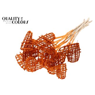 QC Rattan Lata Herz auf Stab | Farbe: Orange | Flacher Beistecker | Länge ± 50 centimeter | 10 Beistecker pro Bund | Pro Bund