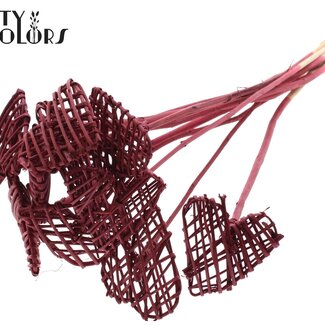 QC Rattan Lata Heart on stick | Colour: Bordeaux red | Flat pick | Length ± 50 centimeter | 10 picks per bunch | Per bunch