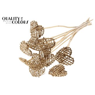 QC Rattan Lata Heart on stick | Colour: Antique Gold-coloured | Flat pick | Length ± 50 centimetre | 10 picks per bunch | Per bunch
