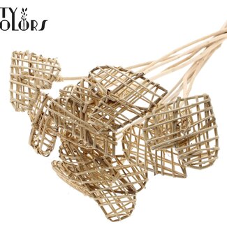 QC Rotin Lata Coeur sur tige | Couleur: Naturel | Pique plate | Longueur ± 50 centimeter | 10 piques par bouquet | Par bouquet