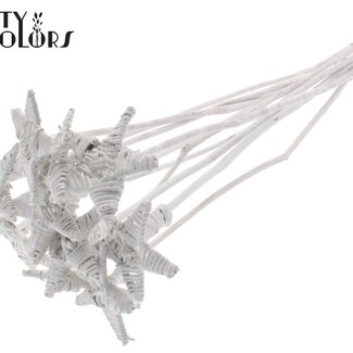 QC Lata star on stem Hat type Covered White