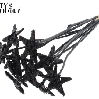 QC Rotin Lata Ster sur tige | Couleur: Noir | Piquet plat | Longueur ± 50 centimeter | 10 piquets par botte