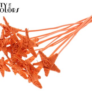 QC Rattan Lata Stern am Stab | Farbe: Orange | Flacher Stecker | Länge ± 50 centimeter | 10 Stecker pro Bund
