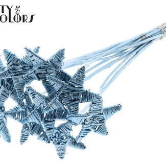 QC Rattan Lata Star on stick | Colour: Metallic Blue | Flat stem pick | Length ± 50 centimetre | 10 stem picks per bunch