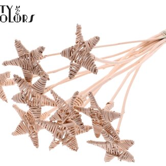 QC Rotan Lata Ster op stok | Kleur: Abrikooskleurig | Platte Bijsteker | Lengte ± 50 centimeter | 10 bijstekers per bos