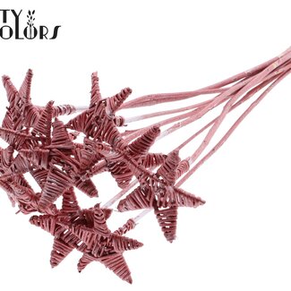 QC Rotin Lata Étoile sur tige | Couleur: Rouge métallisé | Piquet plat | Longueur ± 50 centimeter | 10 piquets par botte