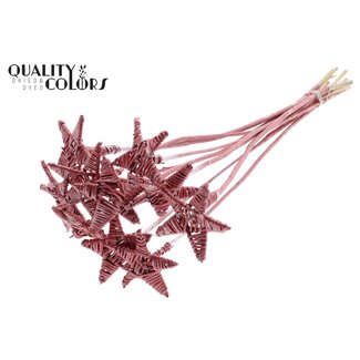QC Rattan Lata Star on stick | Colour: Metallic Red | Flat floral pick | Length ± 50 centimetre | 10 floral picks per bunch