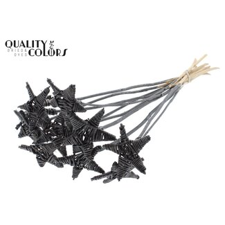 QC Rattan Lata Star on stick | Colour: Metallic Graphite | Flat stake | Length ± 50 centimetre | 10 stakes per bunch