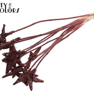 QC Rattan Lata Star on stick | Colour: Brown | Flat stake | Length ± 50 centimetre | 10 stakes per bunch