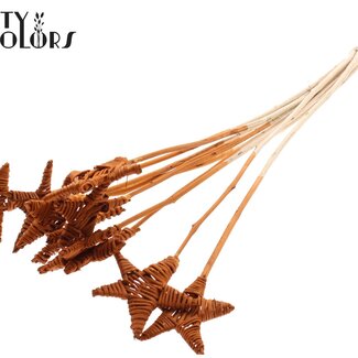 QC Lata star on stem Flat type Terracotta