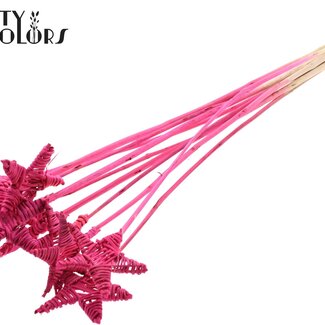 QC Rotin Lata Étoile sur tige | Couleur: cerise | Pique plat | Longueur ± 50 centimeter | 10 piques par botte