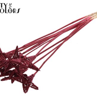 QC Rotin Lata Étoile sur tige | Couleur: Bordeaux | Piquet plat | Longueur ± 50 centimeter | 10 tuteurs par bouquet