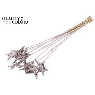 QC Rattan Lata Stern auf Stab | Farbe: Champagnerfarben | Flacher Steckstab | Länge ± 50 centimeter | 10 Steckstäbe pro Bund