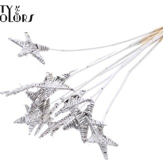 QC Rotin Lata Étoile sur bâton | Couleur: Argenté | Pique plate | Longueur ± 50 centimeter | 10 piques par botte