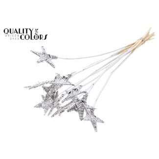 QC Rattan Lata Star on stem | Colour: Silver-coloured | Flat pick | Length ± 50 centimetre | 10 picks per bunch