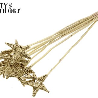 QC Rattan Lata Stern am Stab | Farbe: goldfarben | Flacher Steckdorn | Länge ± 50 centimeter | 10 Steckdornen pro Bund