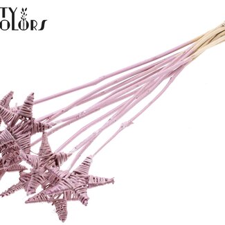 QC Rattan Lata Stern am Stab | Farbe: Metallic Rosa | Flacher Blumenstecker | Länge ± 50 centimeter | 10 Blumenstecker pro Bund
