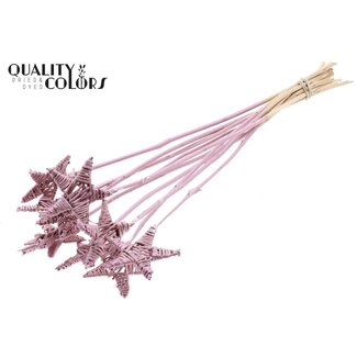 QC Rattan Lata Stern am Stab | Farbe: Metallic Rosa | Flacher Blumenstecker | Länge ± 50 centimeter | 10 Blumenstecker pro Bund