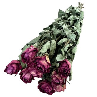 DriedRoses.com Gedroogde Rozen | Kleur: Fuchsia | Lengte ± 50 centimeter | 10 stelen per bos | Per bos