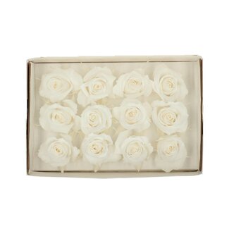 4A Preserved Rose | Colour: Ivory-coloured | Diameter 4 centimetre | Per 12 roses