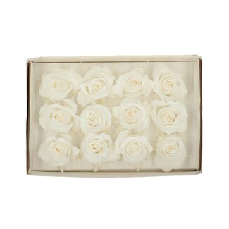 4A Gepreserveerde Roos | Kleur: Ivoorkleurig | Diameter 4 centimeter | Per 12 rozen