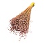 Gedroogd Lino Vlas | Kleur: Frosted Roze | Linum Droogbloemen | Lengte ± 55 centimeter | Gewicht 150 gram | Per bos