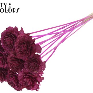 QC Cedar Rose am Stiel | Farbe: Lilafarben | Kiefernzapfen-Stecker | Länge ± 50 centimeter | 10 Stecker pro Bund