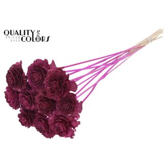 QC Cedar Rose op stok | Kleur: Lilakleurig | Dennenappel Bijsteker | Lengte ± 50 centimeter | 10 bijstekers per bos