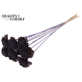 QC Cedar Rose op stok | Kleur: Frosted Milkapaars | Dennenappel Bijsteker | Lengte ± 50 centimeter | 10 bijstekers per bos