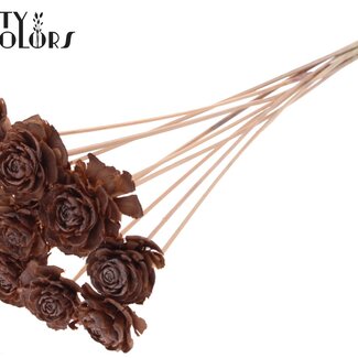 QC Cedar Rose on stem | Colour: Frosted Salmon-coloured | Pinecone Pick | Length ± 50 centimetre | 10 picks per bunch