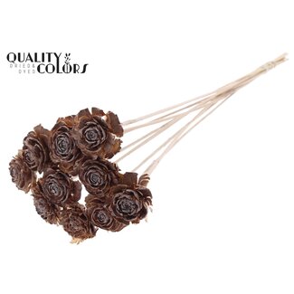 QC Cedar Rose am Stiel | Farbe: Gefrostet Natürlich Weiß | Tannenzapfenstecker | Länge ± 50 centimeter | 10 Stecker pro Bund