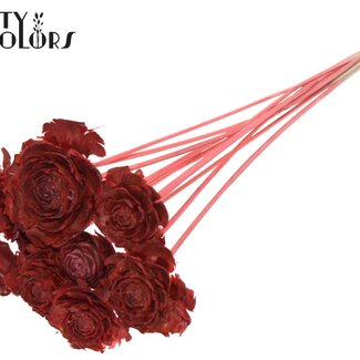 QC Cedar Rose on stem | Colour: Coral-coloured | Pinecone pick | Length ± 50 centimeter | 10 picks per bunch