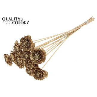 QC Cedar Rose on stem | Colour: Antique Gold-coloured | Pinecone pick | Length ± 50 centimeter | 10 picks per bunch