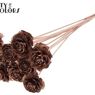 QC Cedar Rose op stok | Kleur: Koperkleurig | Dennenappel Bijsteker | Lengte ± 50 centimeter | 10 bijstekers per bos
