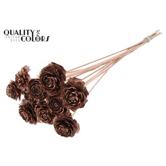 QC Cedar Rose am Stiel | Farbe: Kupferfarben | Tannenzapfen-Stecker | Länge ± 50 centimeter | 10 Stecker pro Bund