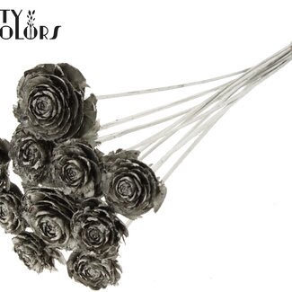 QC Cedar Rose on stem Platina