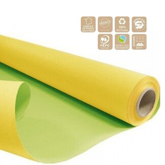 4A Two-sided Paper on roll “Duo” | Colour: Yellow-green | Width 80 centimetre | Length 40 metre | 60 gram/m2 | Per roll
