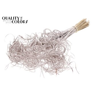 QC Dried Palm Leaf Nerve | Colour: Champagne-coloured | Curly Ting Ting | Length ± 70 centimetre | 3 twigs per tuft | 33 tufts per bunch | Per bunch