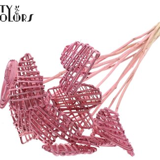 QC Rattan Lata Herz mit Stiel | Farbe: Frosted Rosa | Flacher Stecker | Länge ± 50 centimeter | 10 Stecker pro Bund | Pro Bund