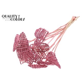 QC Rattan Lata Heart on stem | Colour: Frosted Pink | Flat pick | Length ± 50 centimetre | 10 flat picks per bunch | Per bunch