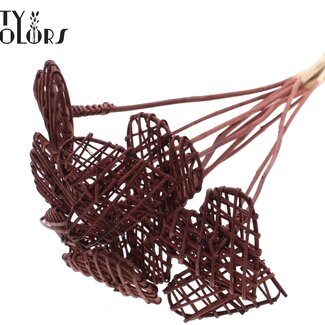 QC Rattan Lata Heart on stick | Colour: Brown | Flat floral pick | Length ± 50 centimetre | 10 floral picks per bunch | Per bunch