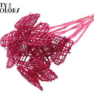 QC Rattan Lata Heart on stick | Colour: Cherry-coloured | Flat pick | Length ± 50 centimetre | 10 picks per bunch | Per bunch