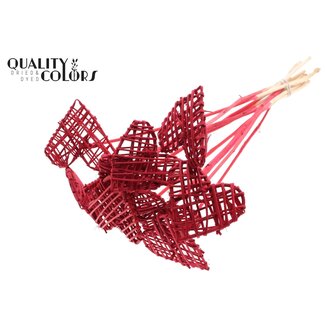 QC Rattan Lata Herz auf Stab | Farbe: Rot | Flacher Stecker | Länge ± 50 centimeter | 10 Stecker pro Bund | Pro Bund