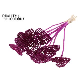 QC Rattan Lata Heart on stick | Colour: Lilac-coloured | Flat floral pick | Length ± 50 centimeter | 10 floral picks per bunch | Per bunch