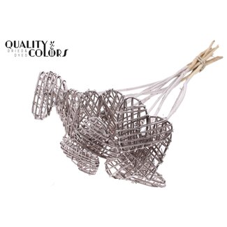 QC Rattan Lata Heart on stick | Colour: Champagne-coloured | Flat pick | Length ± 50 centimetre | 10 picks per bunch | Per bunch